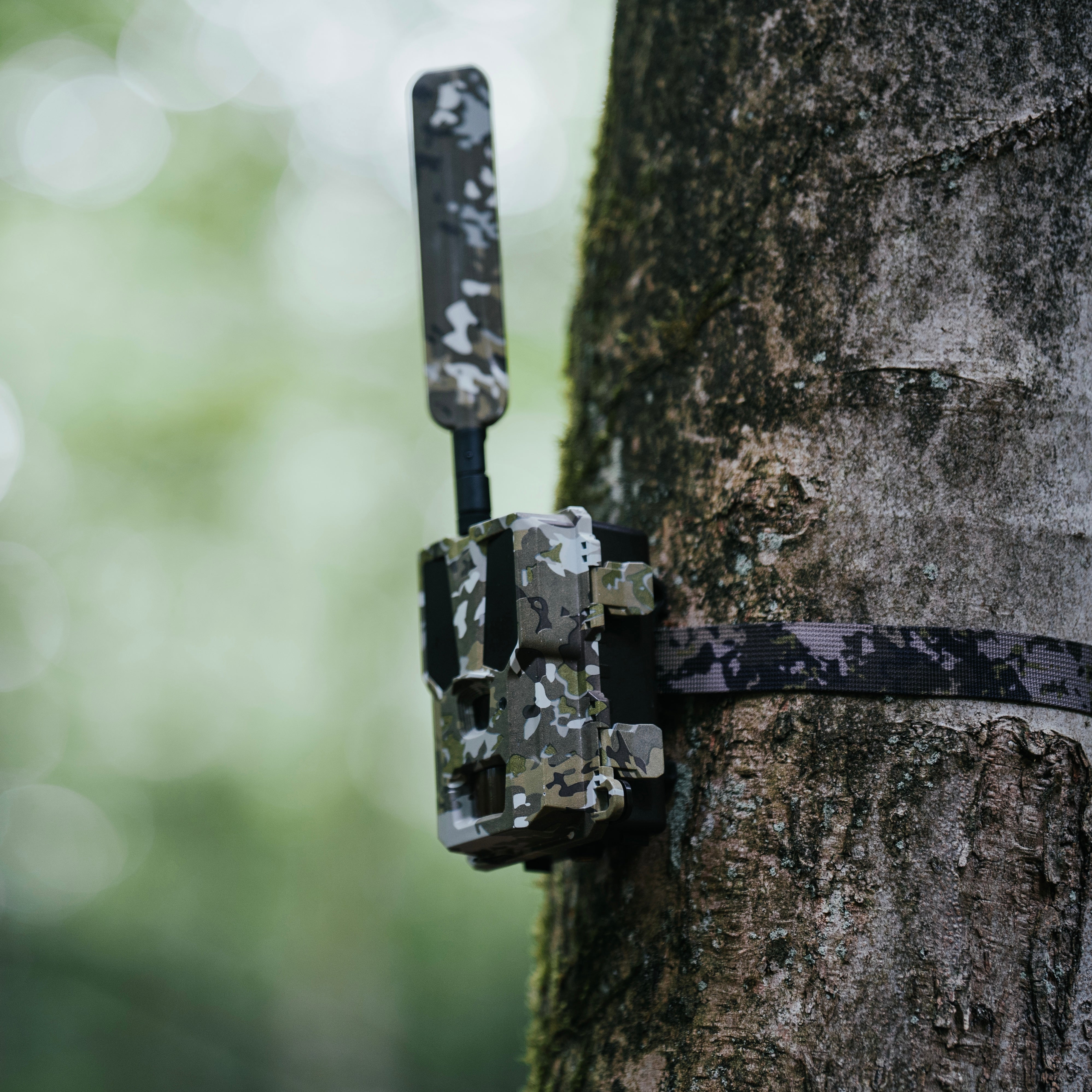 Hunter 4G Mini am Baum montiert