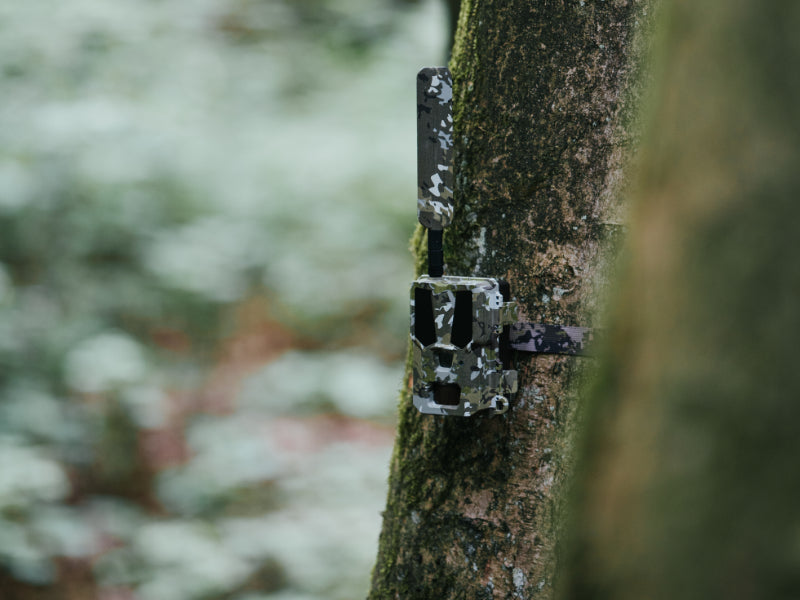 Modernhunter Wildkamera - Hunter 4G Mini