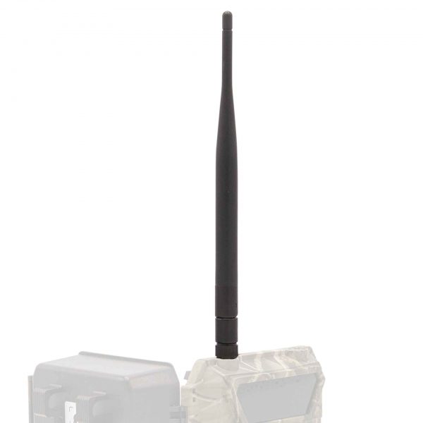 Wildkamera 3G Antenne